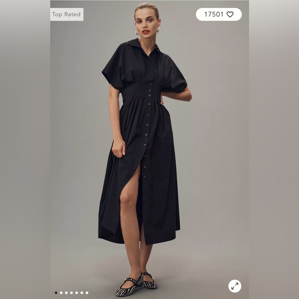NWOT The Tobie Button-Front Pleated Shirt Dress by Exquise